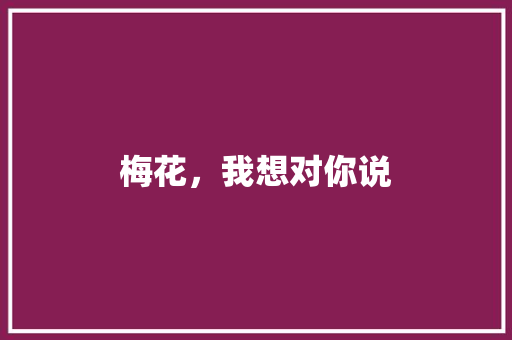 梅花，我想对你说