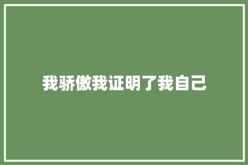 我骄傲我证明了我自己