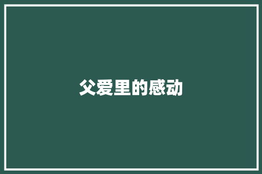 父爱里的感动