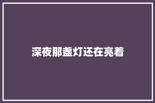 深夜那盏灯还在亮着