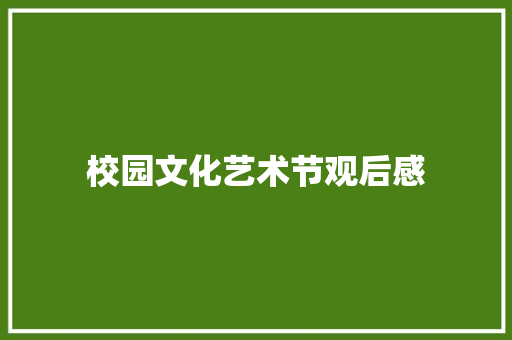 校园文化艺术节观后感