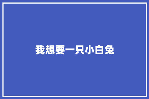 我想要一只小白兔