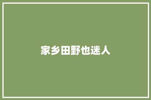 家乡田野也迷人
