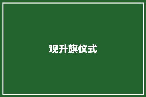 观升旗仪式