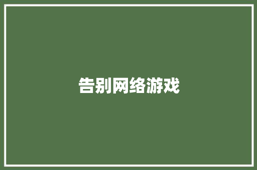 告别网络游戏