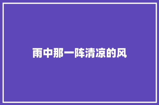 雨中那一阵清凉的风