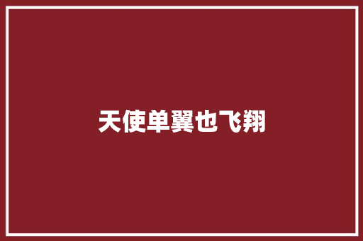 天使单翼也飞翔