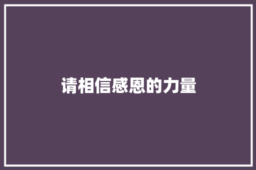 请相信感恩的力量