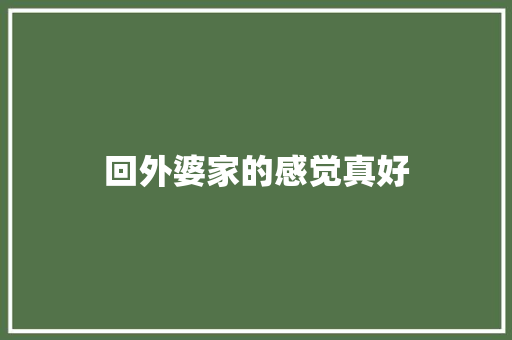 回外婆家的感觉真好