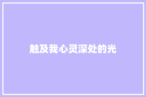 触及我心灵深处的光