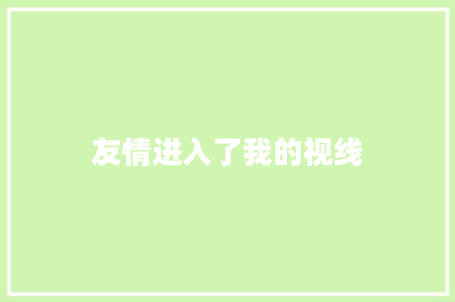 友情进入了我的视线