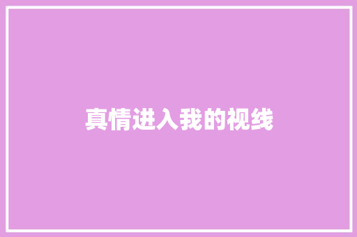 真情进入我的视线