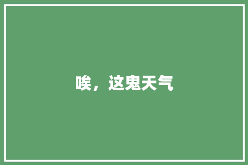唉，这鬼天气