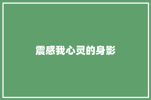 震感我心灵的身影