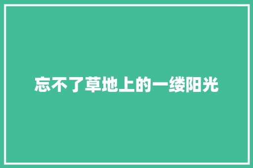 忘不了草地上的一缕阳光