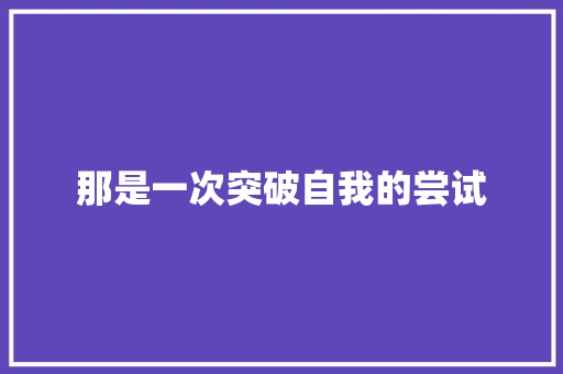 那是一次突破自我的尝试