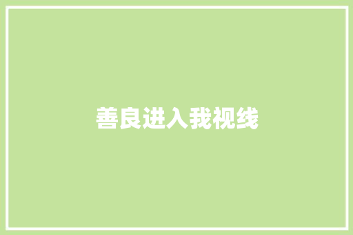 善良进入我视线
