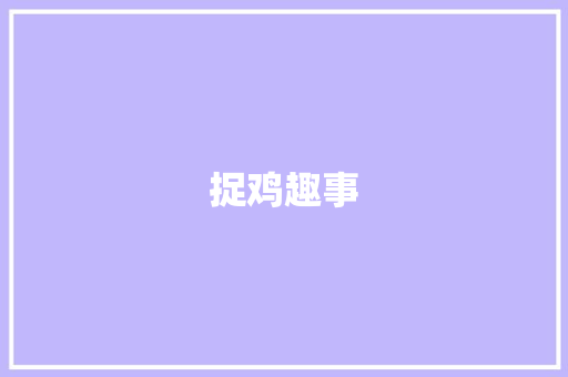 捉鸡趣事
