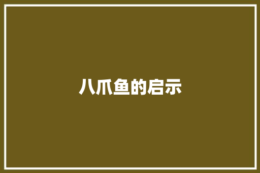 八爪鱼的启示