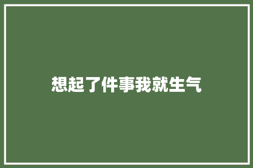 想起了件事我就生气
