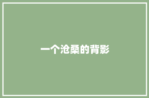 一个沧桑的背影