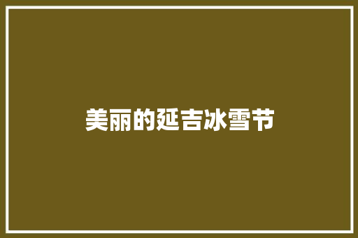 美丽的延吉冰雪节