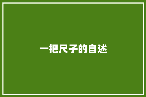 一把尺子的自述