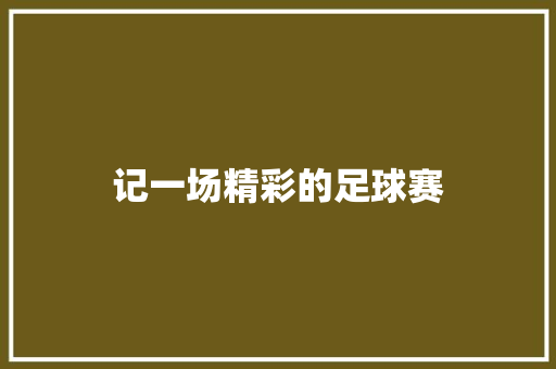 记一场精彩的足球赛