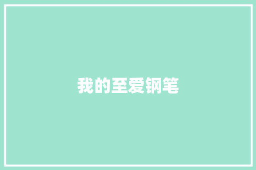 我的至爱钢笔