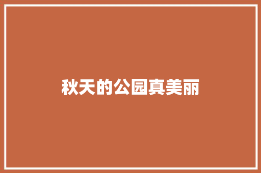秋天的公园真美丽