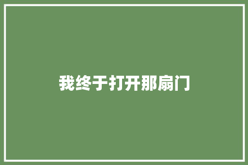 我终于打开那扇门