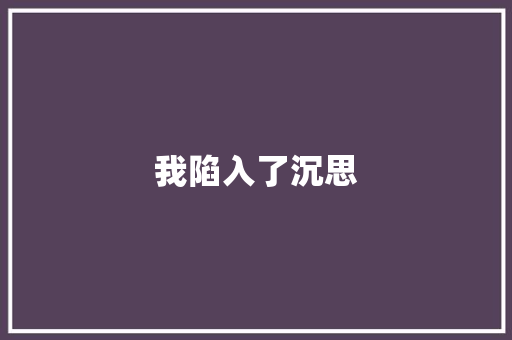 我陷入了沉思