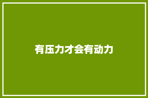 有压力才会有动力