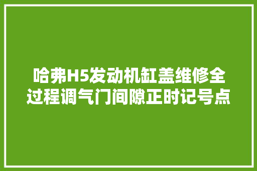 哈弗H5发动机缸盖维修全过程调气门间隙正时记号点汽车