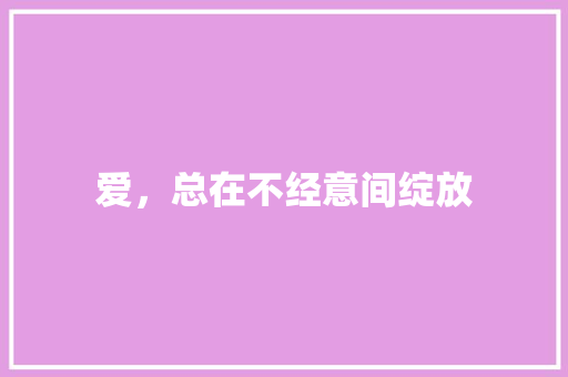 爱，总在不经意间绽放