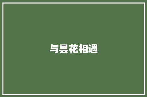 与昙花相遇