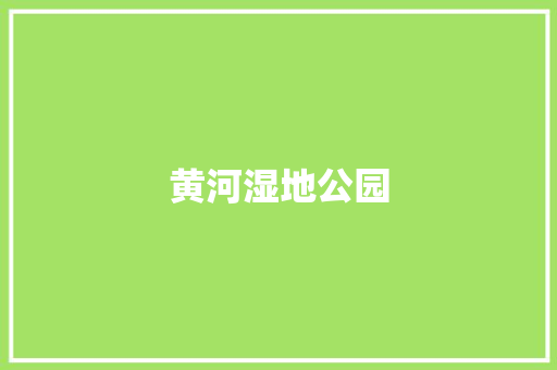 黄河湿地公园