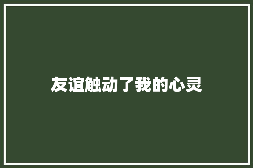 友谊触动了我的心灵