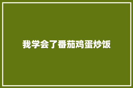 我学会了番茄鸡蛋炒饭