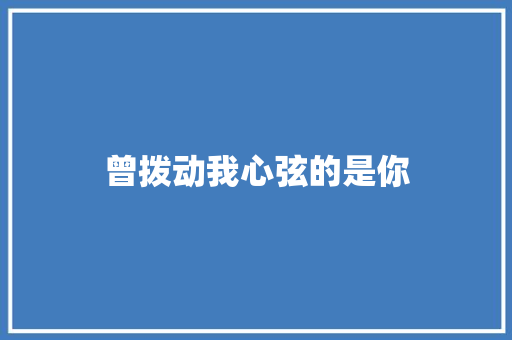 曾拨动我心弦的是你