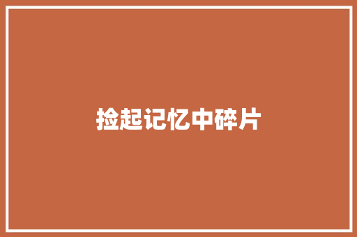 捡起记忆中碎片