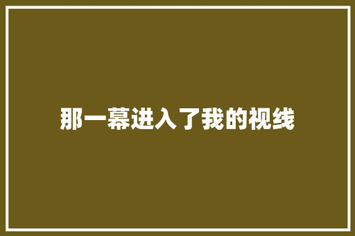 那一幕进入了我的视线