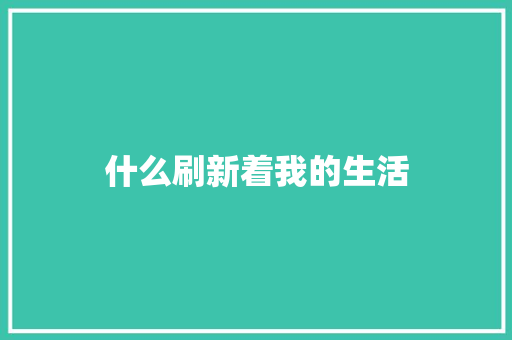 什么刷新着我的生活