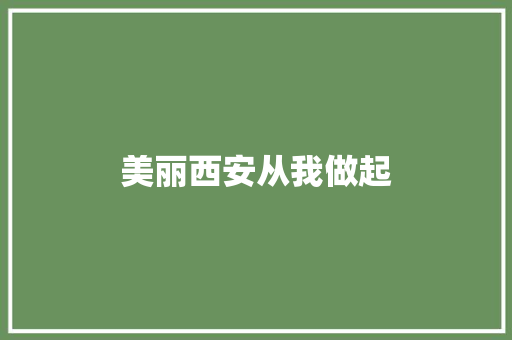 美丽西安从我做起