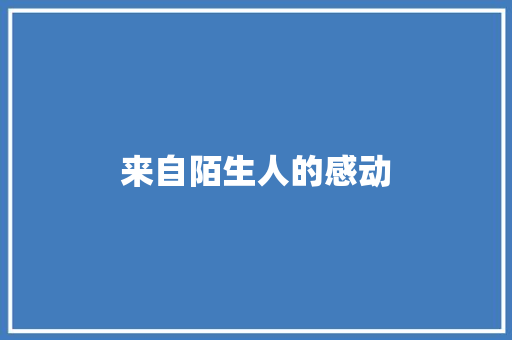 来自陌生人的感动