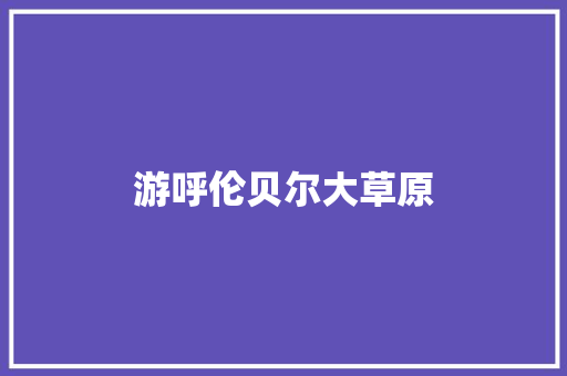 游呼伦贝尔大草原