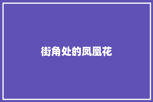 街角处的凤凰花