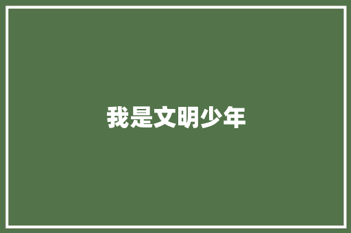 我是文明少年