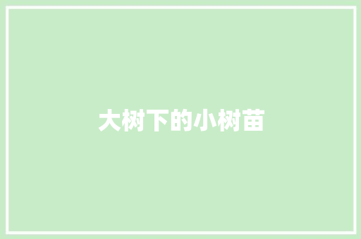 大树下的小树苗