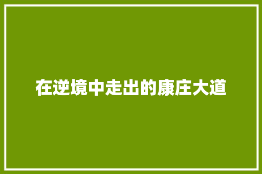 在逆境中走出的康庄大道